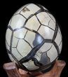 Septarian Dragon Egg Geode - Shiny Black Crystals #34717-1